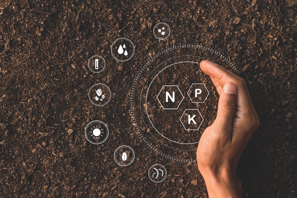 Co jsou půdní probiotika a k čemu jsou dobrá?