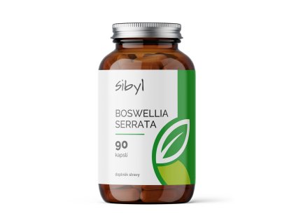 Boswellia Serrata, 90 kapslí - hlavní