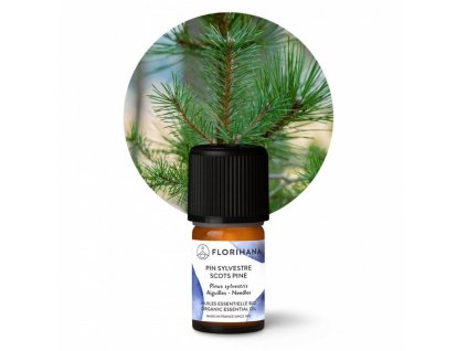 https://503086.myshoptet.com/user/documents/upload/products/florihana_rebranding/borovice_scots_pine_01.jpg
