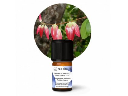 Skořice listy, BIO, 5g