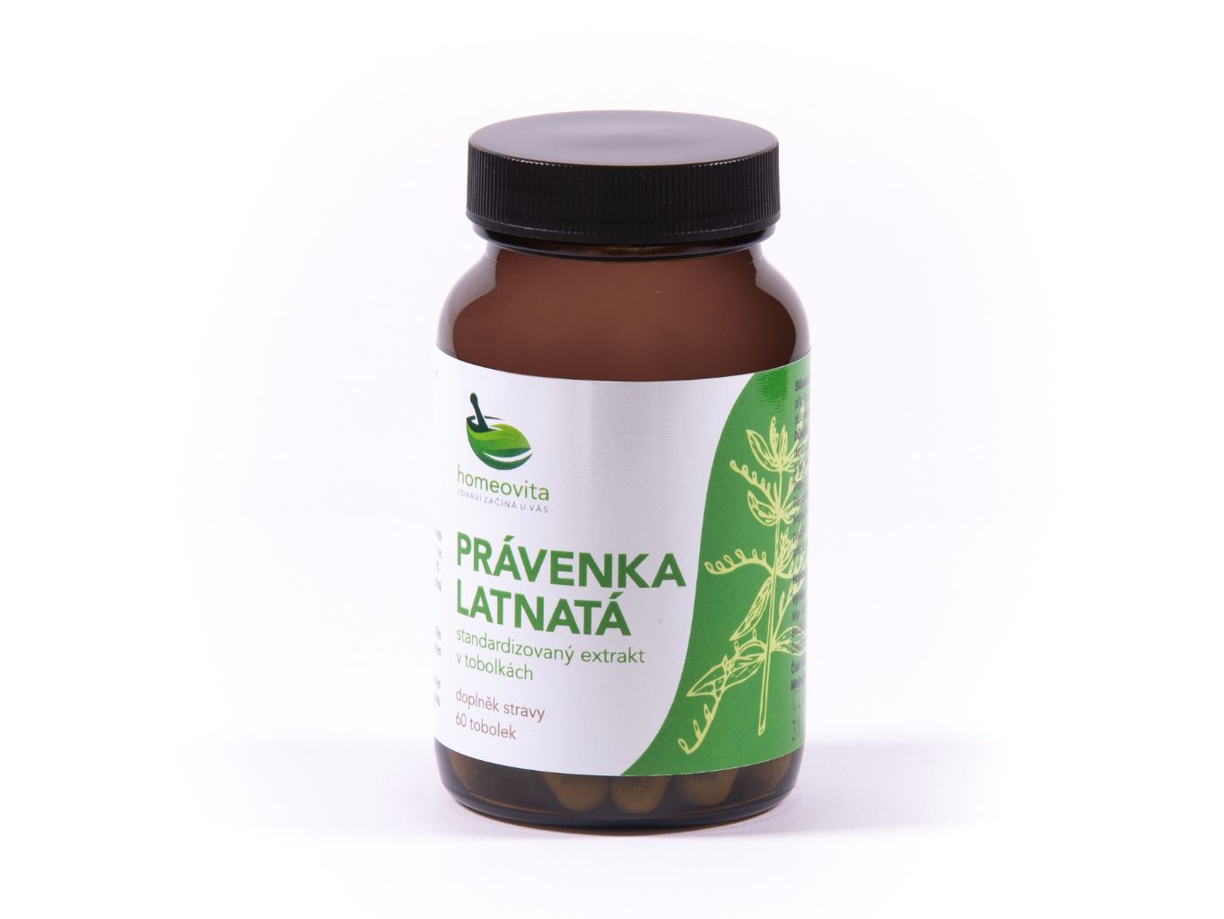 Právenka latnatá, 60 kapsúl