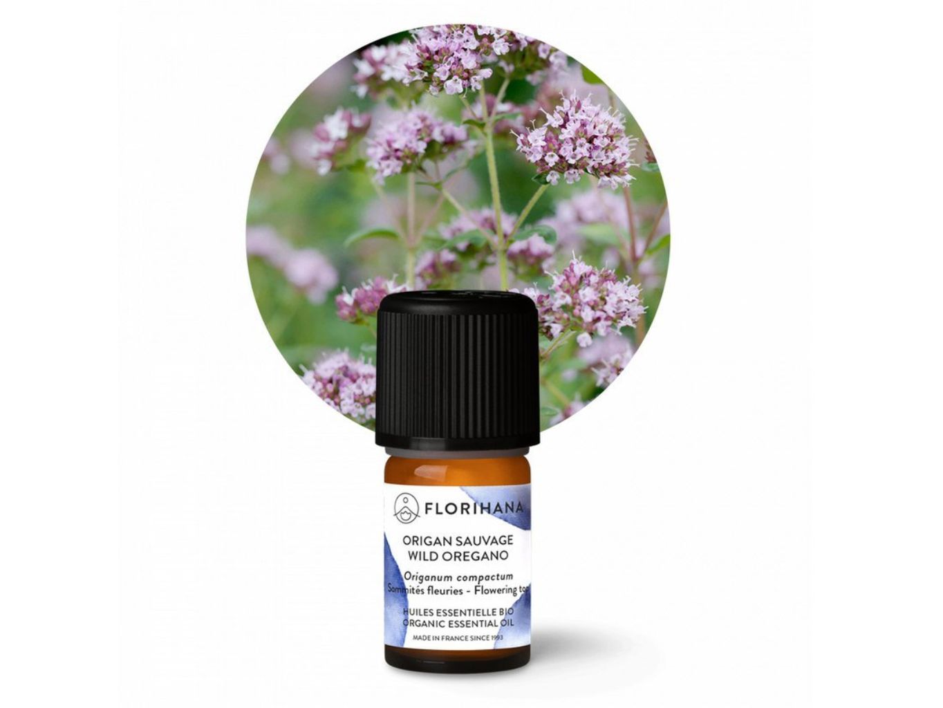 Divoké oregáno compacta BIO 5g