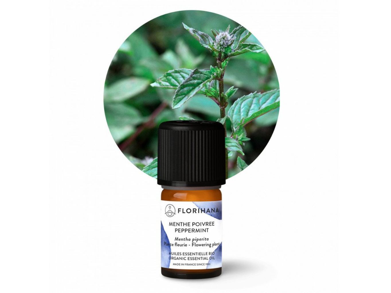 Mäta pieporná BIO 5g