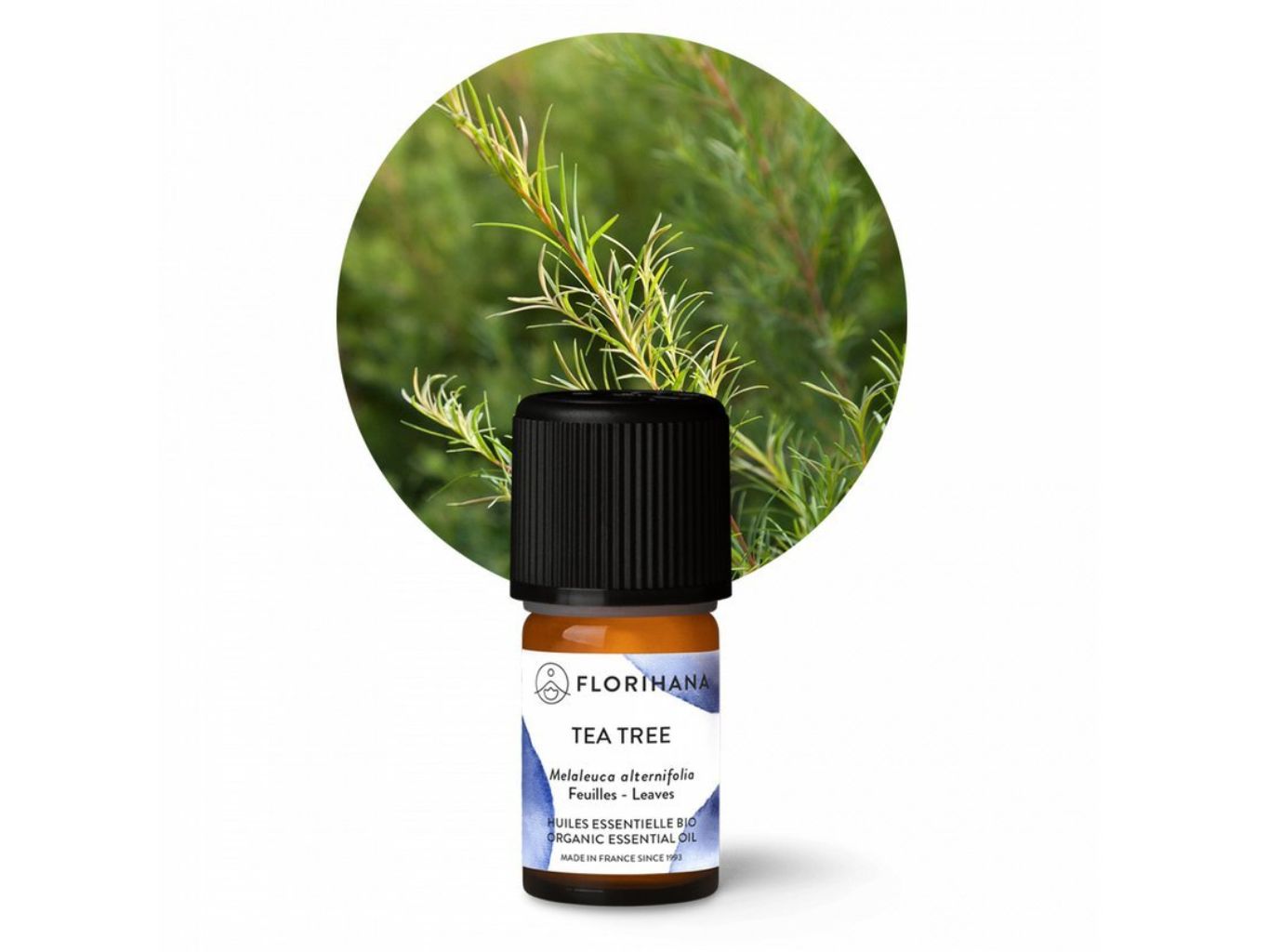 Tea tree (čajovník) BIO 5g