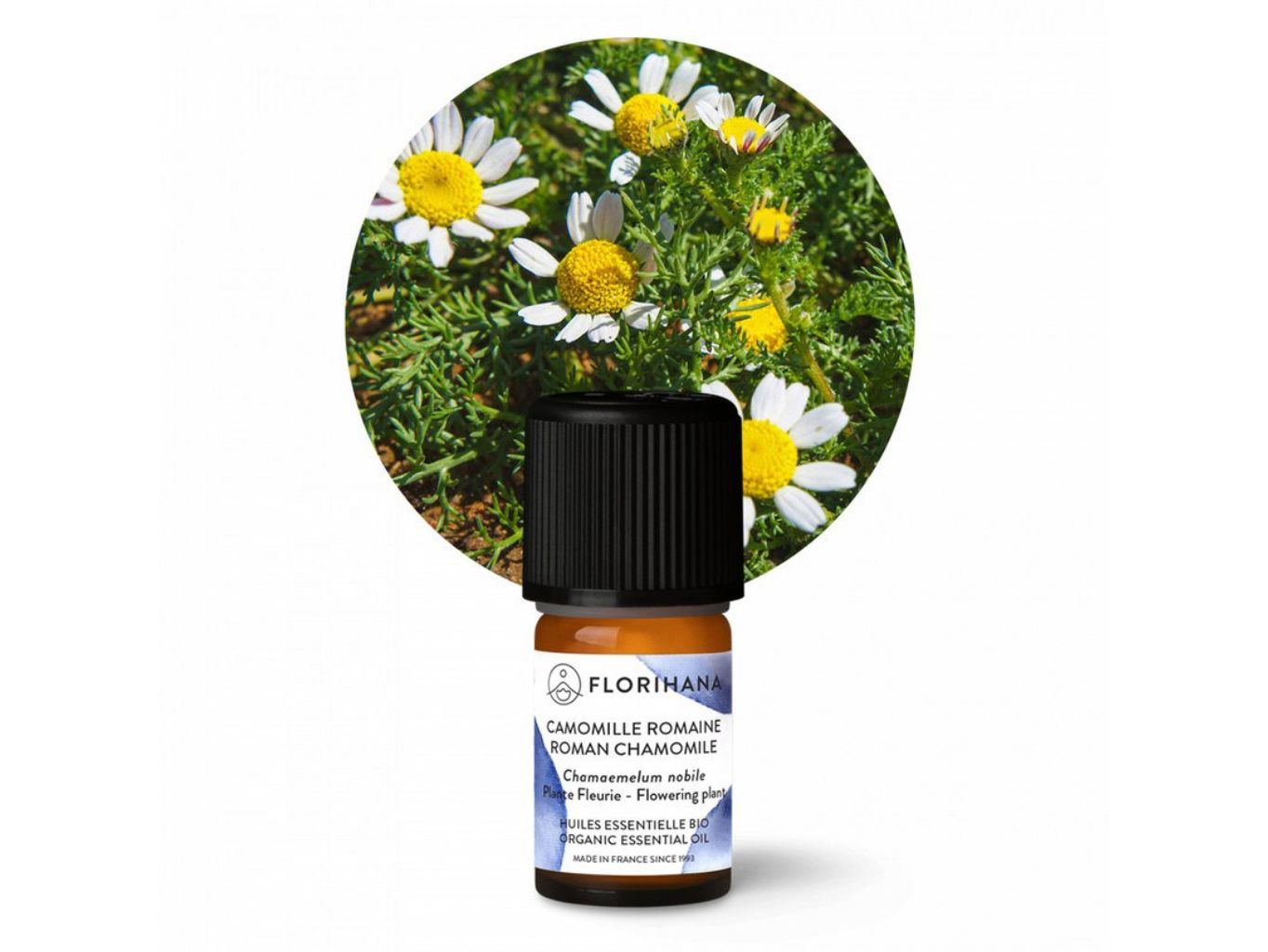 Rumanček pravý BIO 2g