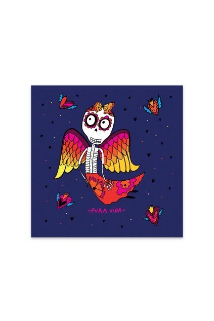 puravidashop plakat dusinkova