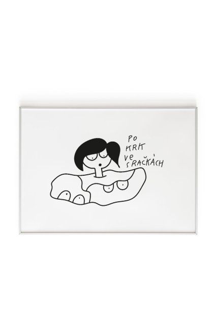puravidashop ztracenne plakat sracky