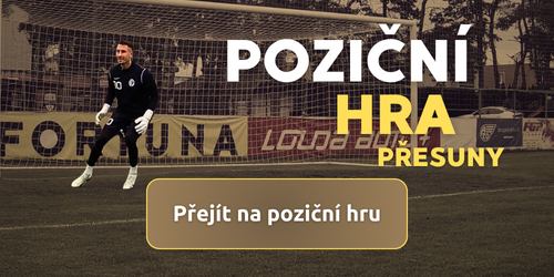 brankar-trenink-pozicni-hra
