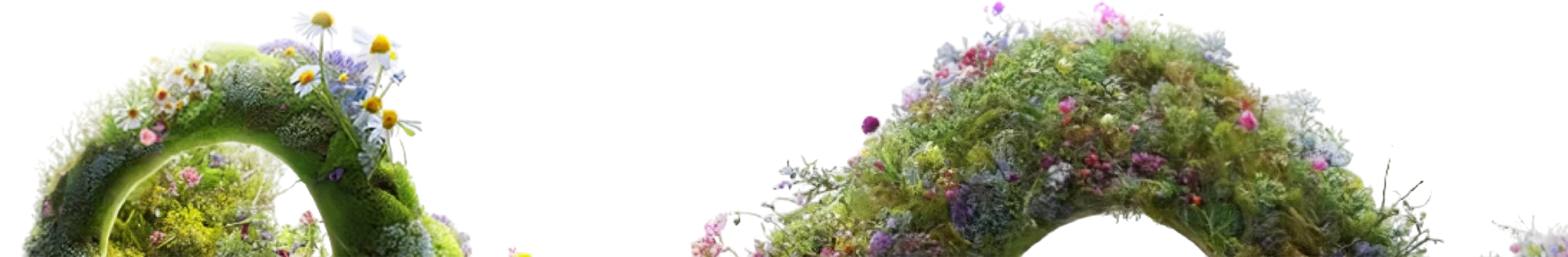 Purelife footer nature