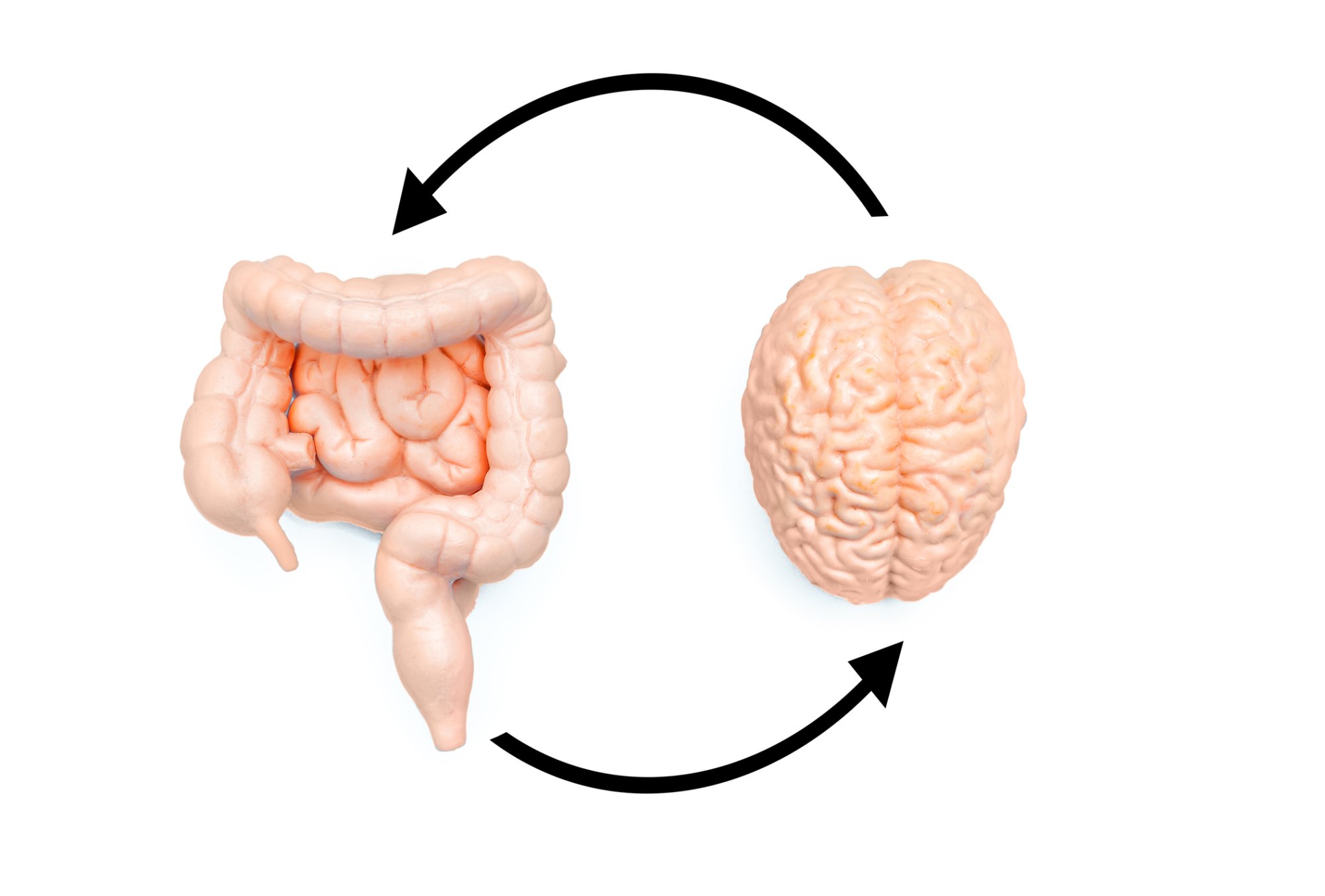 Mikrobiom a probiotika: neviditelná síla vašeho zdraví