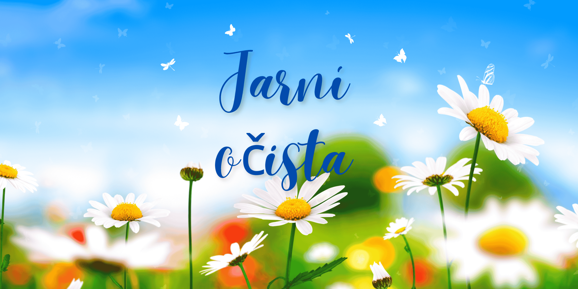 Nejen jarní očista...a kdy vlastně provádět očistu organismu
