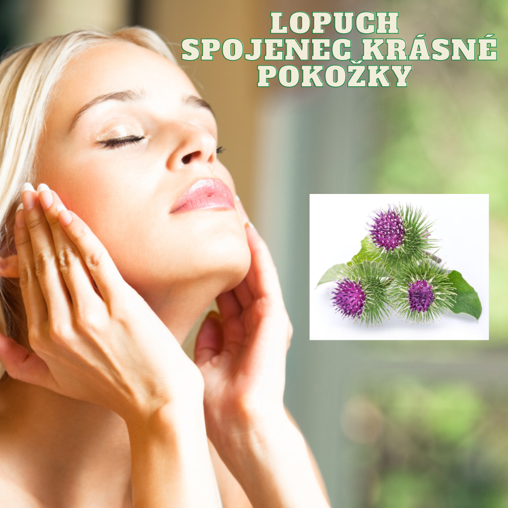 Lopuch - spojenec krásné pokožky