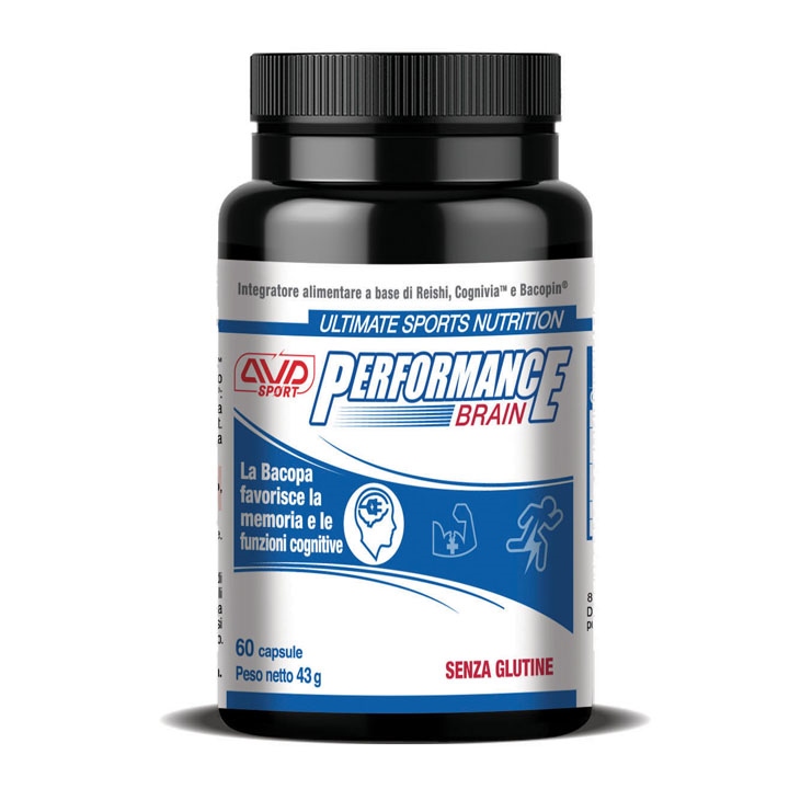 PAK-Performance12brain