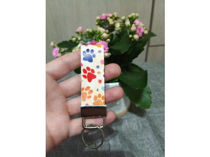 Klíčenka barevné tlapky