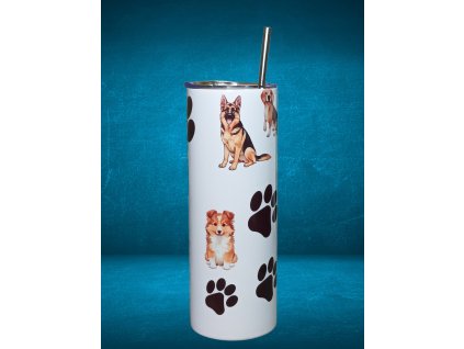 photostudio 1771072765821