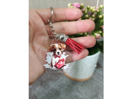 Přívěsek nice dog