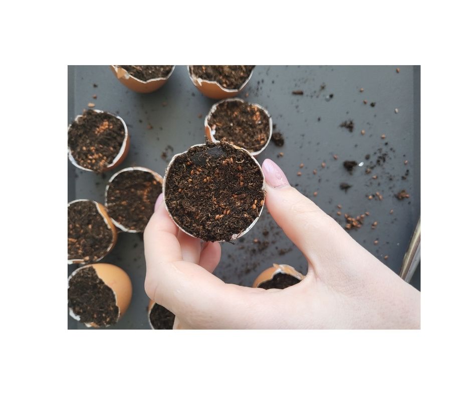 TIP na jarní dekoraci ze skořápek od vajec