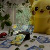 Pokemon 8 4