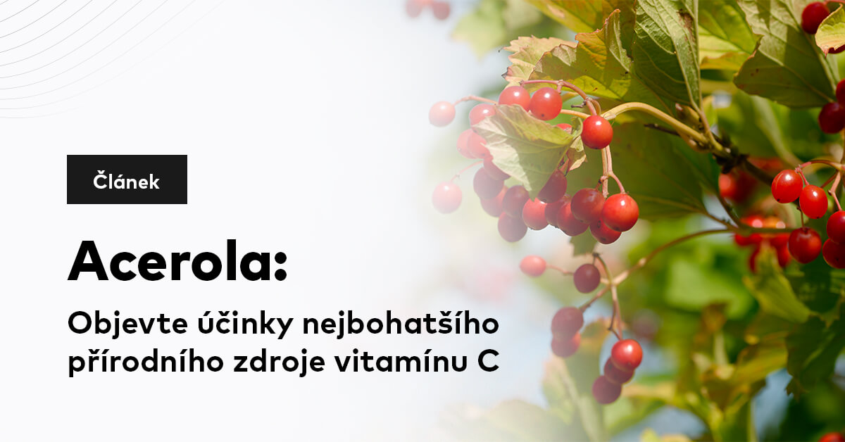 Acerola: Objevte účinky nejbohatšího přírodního zdroje vitamínu C