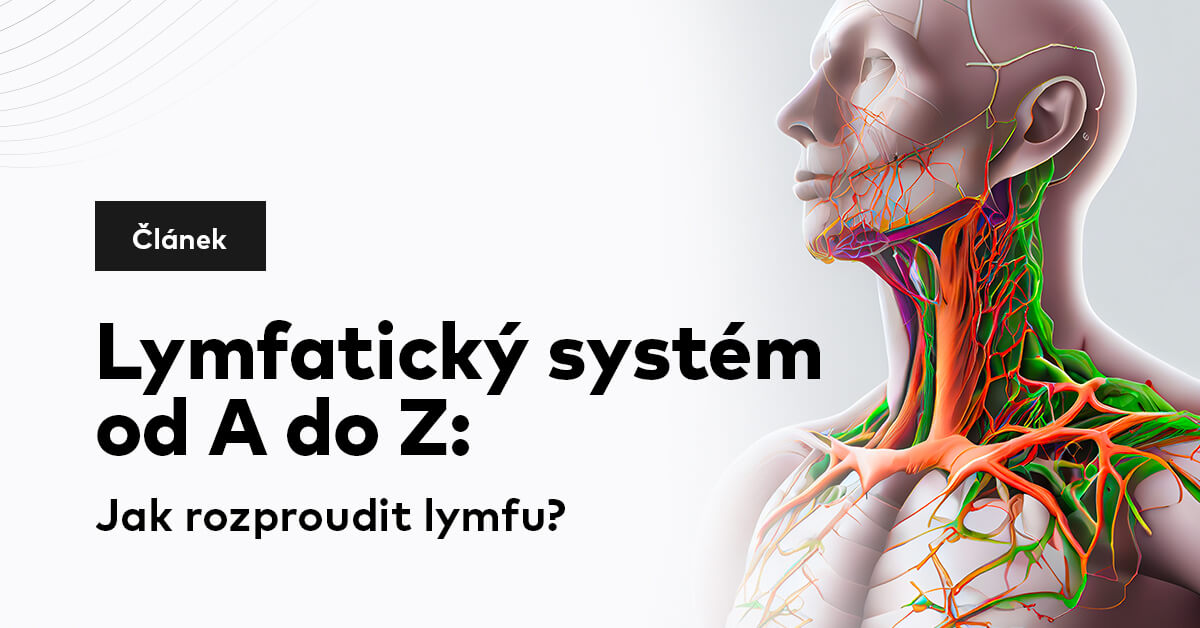 Lymfatický systém od A do Z: Jak rozproudit lymfu?