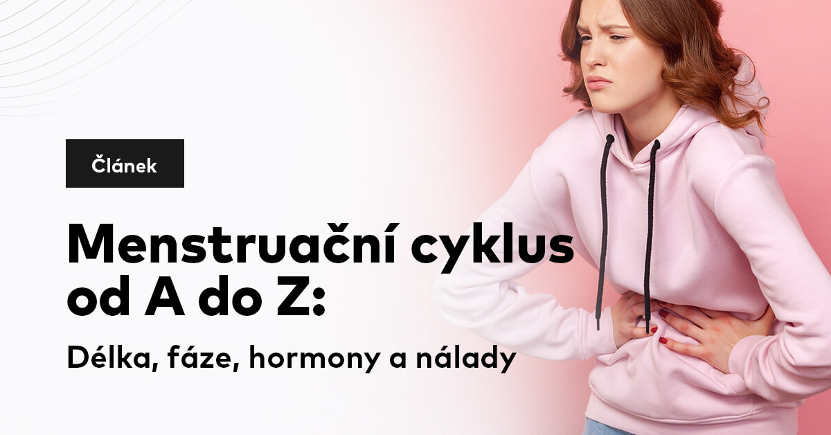 Menstruační cyklus od A do Z: Délka, fáze, hormony a nálady