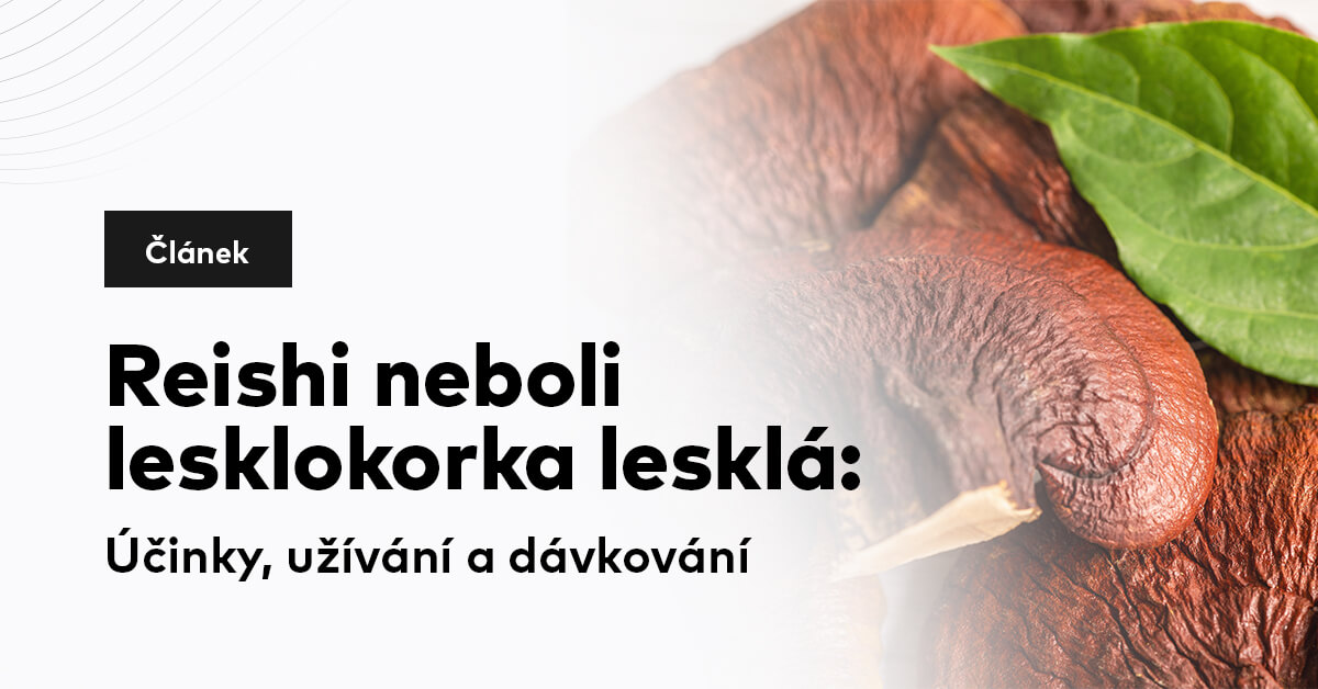 Reishi neboli lesklokorka lesklá: Účinky, užívání a dávkování