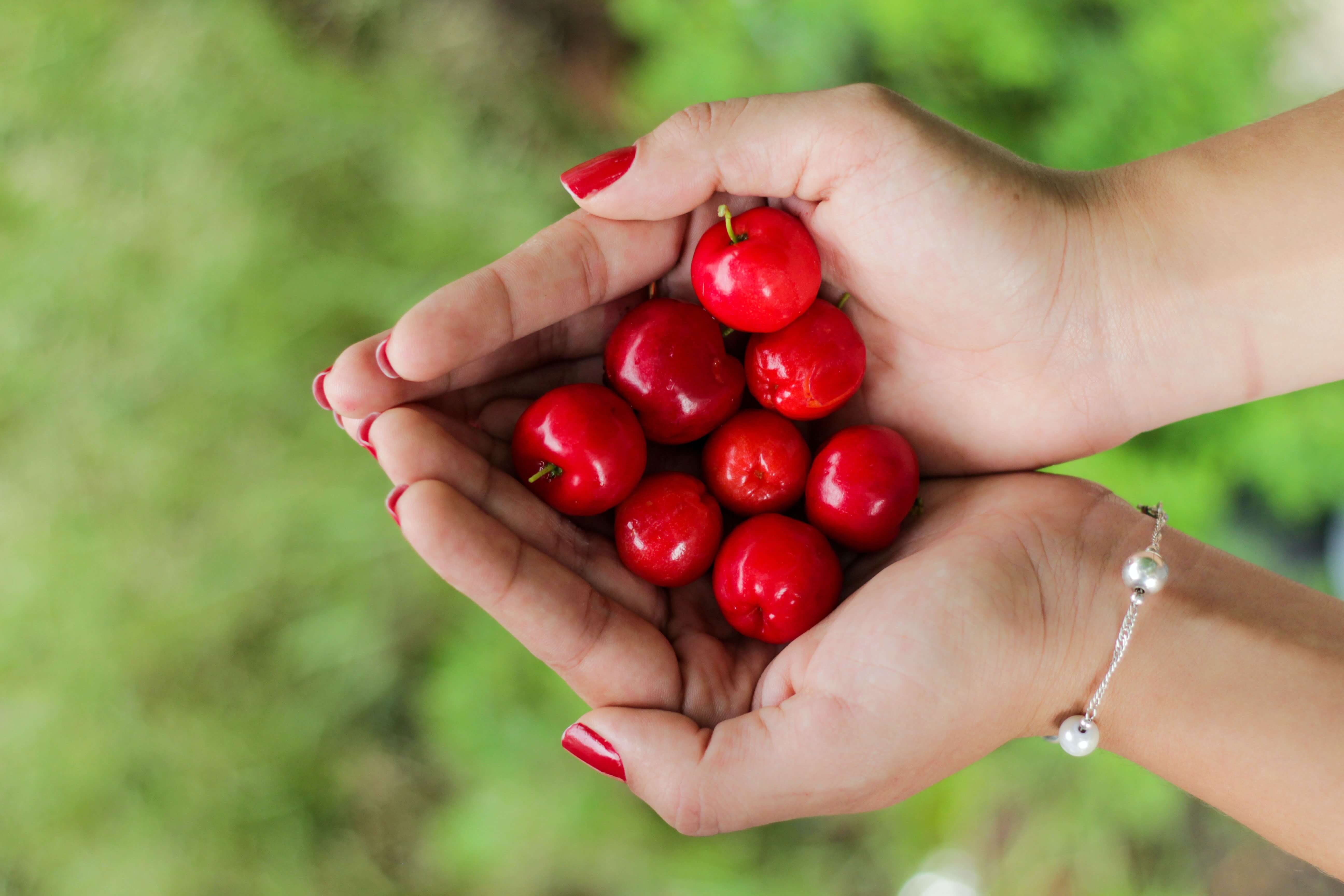 Acerola-bobule