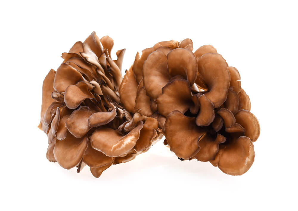 maitake-houba