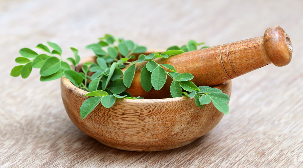 moringa-olejodarna-listy