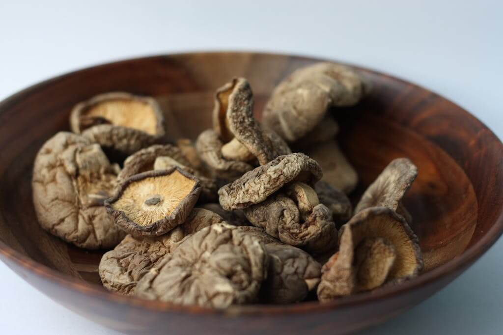 houba-shiitake
