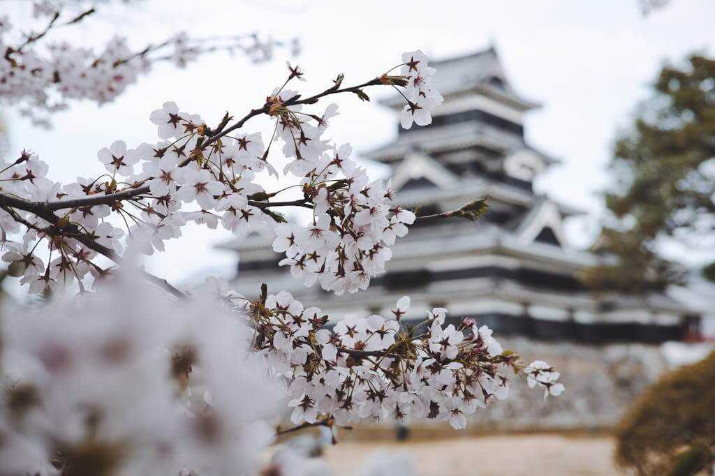 japonsko