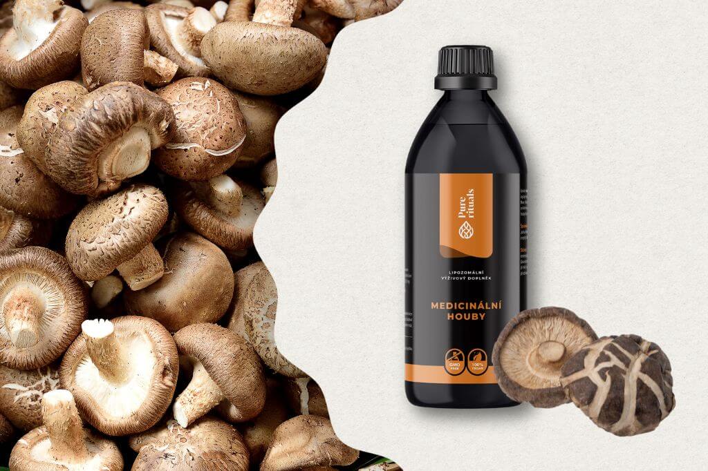 medicinalni-houby-shiitake