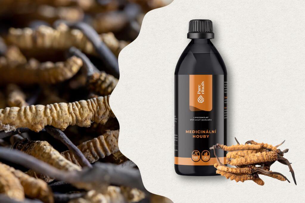 cordyceps