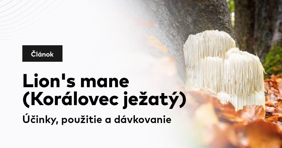 Lion's mane: (Korálovec ježatý): Účinky, použitie a dávkovanie