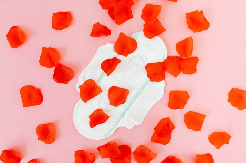 menstruace
