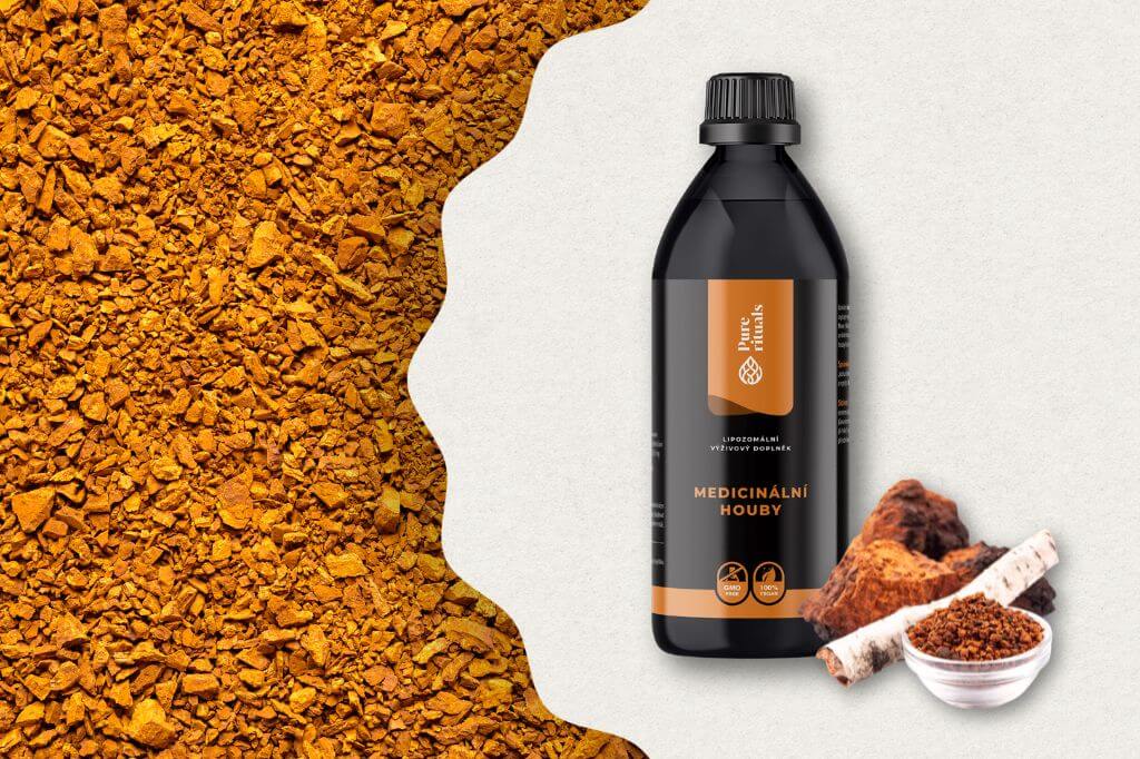 houba-chaga-medicinalni-houby