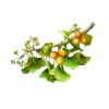 gingko 60ml ginkgo biloba hawaii pharm (1)