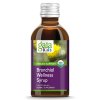 gaiakids bronchial wellness syrup gaia herbs