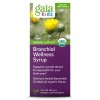 gaiakids bronchial wellness syrup gaia herbs (1)