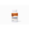 Chaga