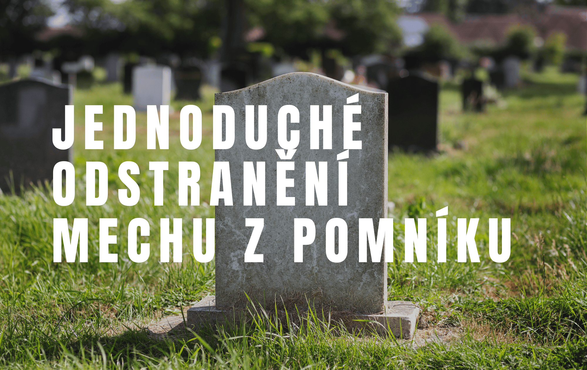 Jak odstranit plísně a lišejníky z pomníku? Postup krok za krokem