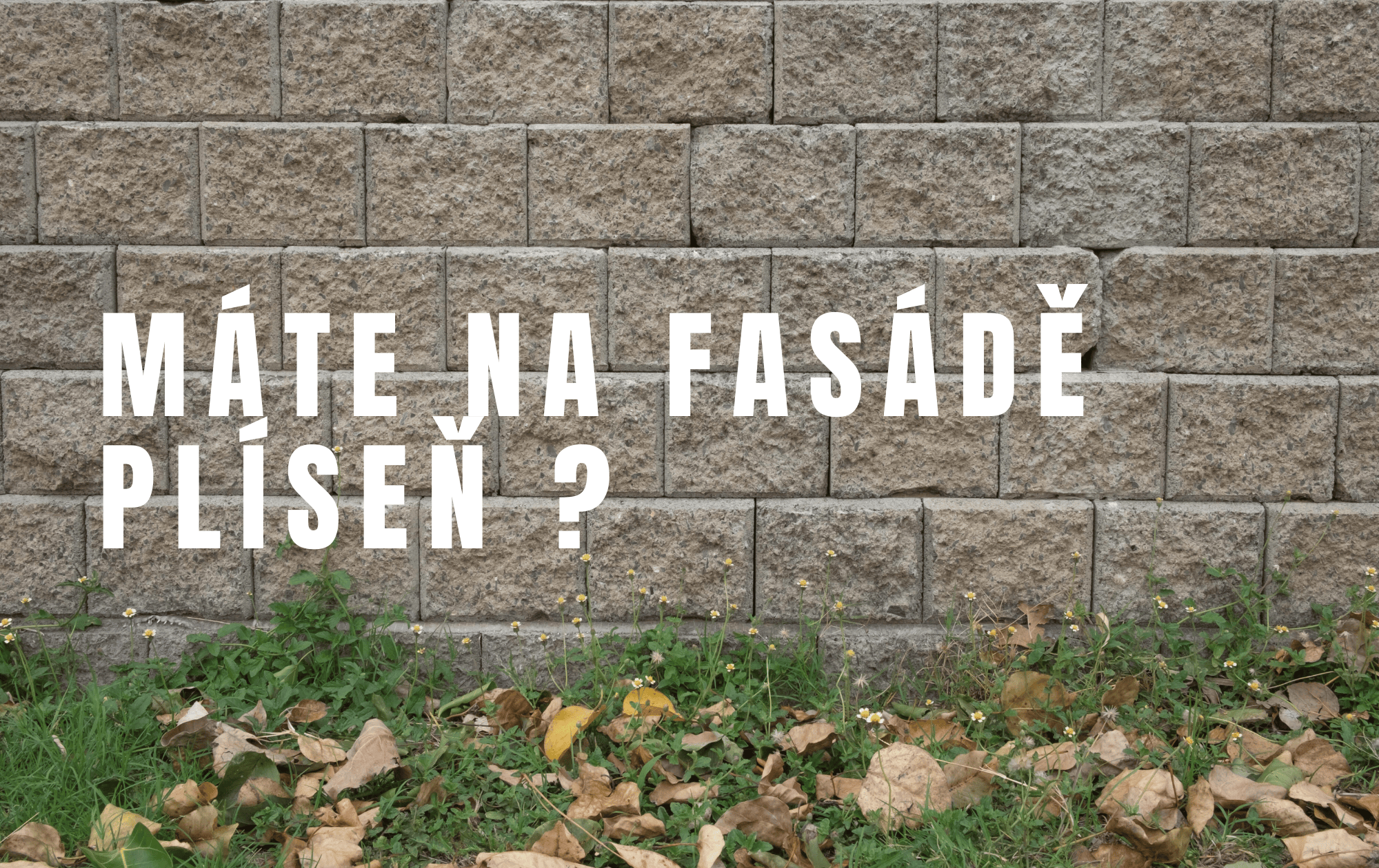 Jak odstranit mech a plísně z podezdívky u domu?