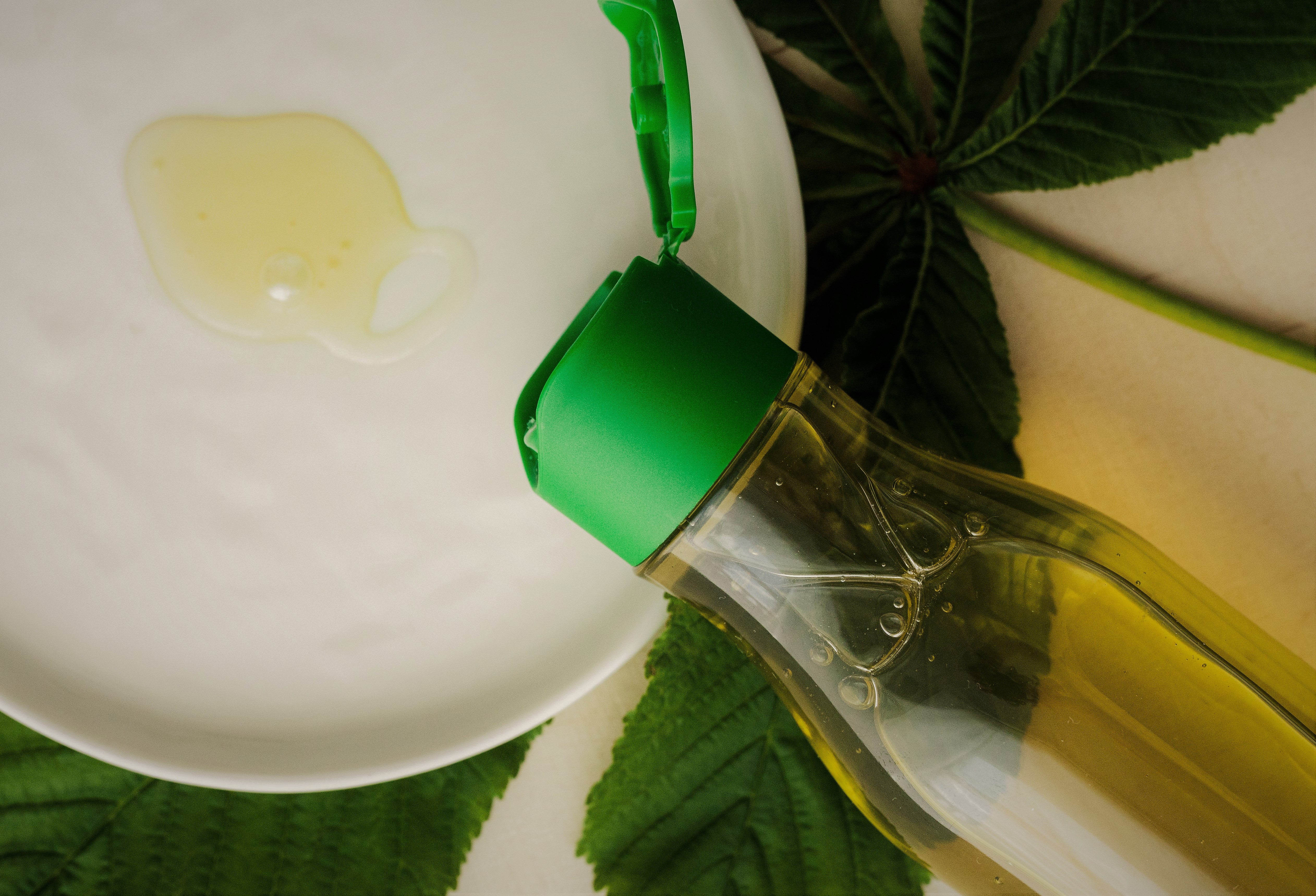 Co jsou to Omega kyseliny