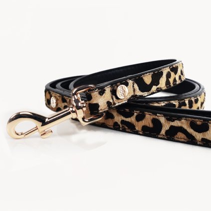 LEOPARD Lead copy