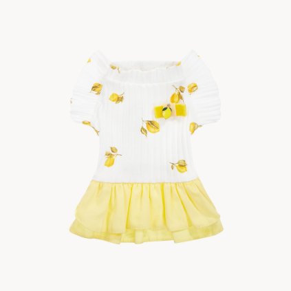 CH wear FRUITY Lemon dress copy