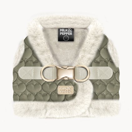 MP2331 CLARICE copy