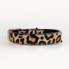 Leopard Collar 2 copy