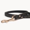 STARDUST Champagne Laisse Leash copy