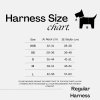 Harness Size Chart 480x480