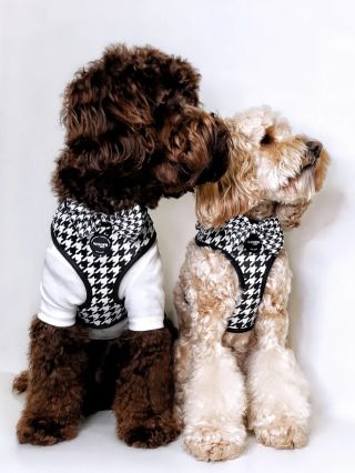 Houndstooth Black Edition postroj je nadčasový statement na každú prechádzku. Mäkký neoprén + priedušná sieťovina pre...